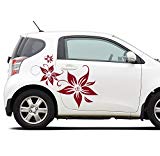ilka parey wandtattoo-welt Autoaufkleber Autotattoo Blumen Blüten Hibiskus Hawaiiblumen Aufkleber Auto Aufkleber Aufkleber Autodesign MA25
